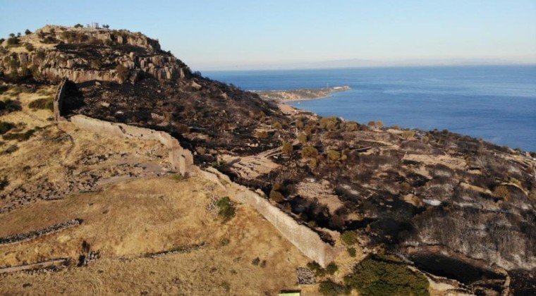 Çanakkale’de çıkan yangının verdiği zarar büyük