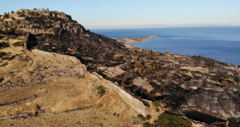 Çanakkale’de çıkan yangının verdiği zarar büyük