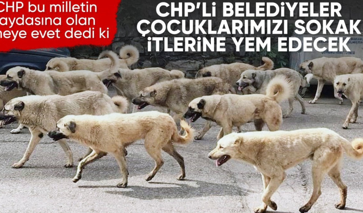 CHP’den sokak köpekleri yasa teklifine tepki!